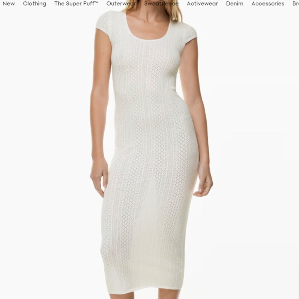 Aritzia Little Moon Azure Dress